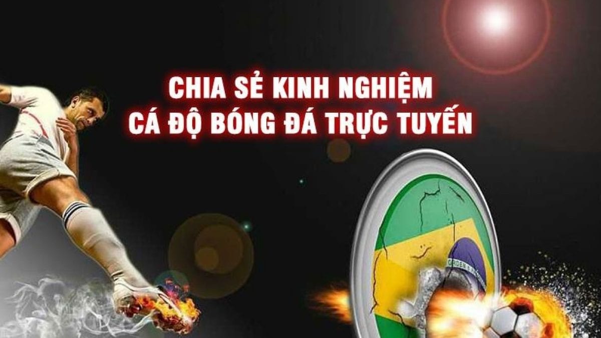 Bí kíp cá cược bóng đá Việt Nam là gì?